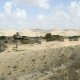 Negev Camel Ranch